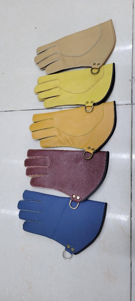 leather glove for falcon - 2