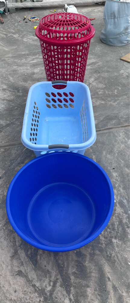 Dishes - 1
