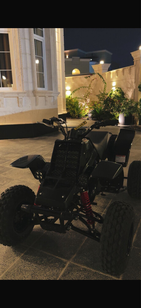 Banshee 350 - 1