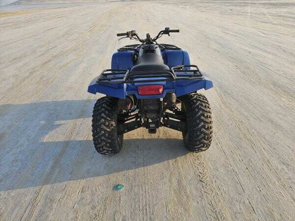 Artric cat atv 440cc 2012 model - 6