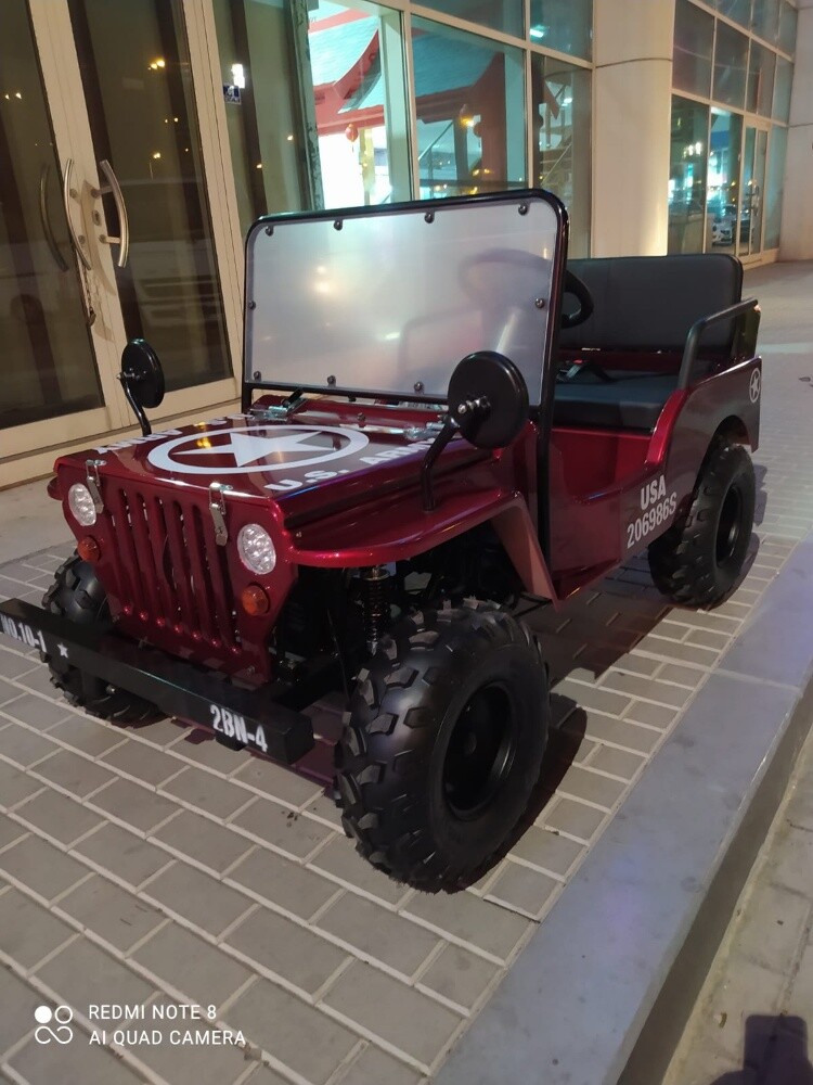 ميني جيب - 3