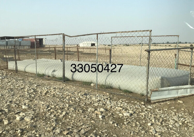 تور سدو مخطط و راوية ماء - 4