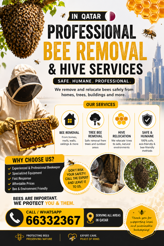 bees outside hives - 2