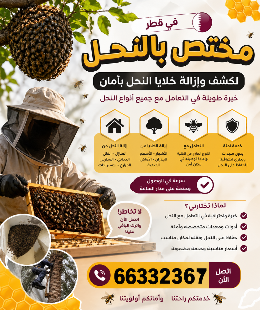 bees outside hives - 1