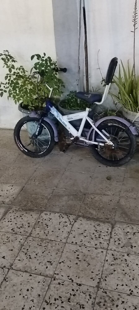 ابو محمد - 6