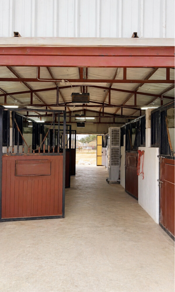 Horse stables available for rent  - 5