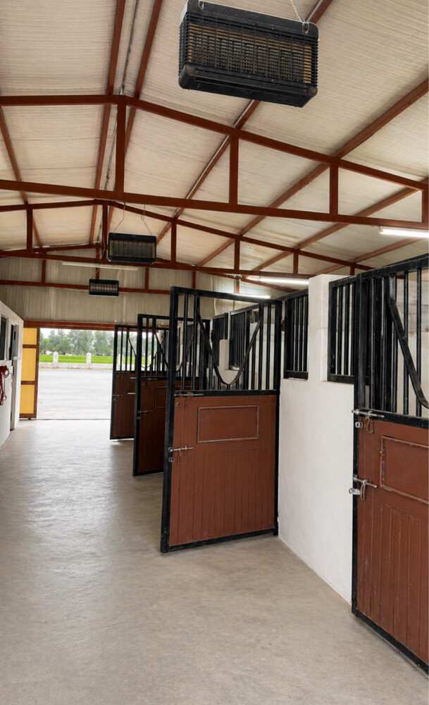 Horse stables available for rent  - 1