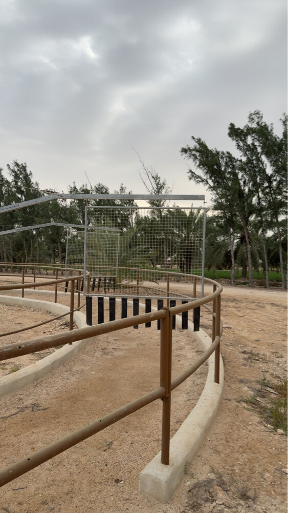 Horse stables available for rent  - 6