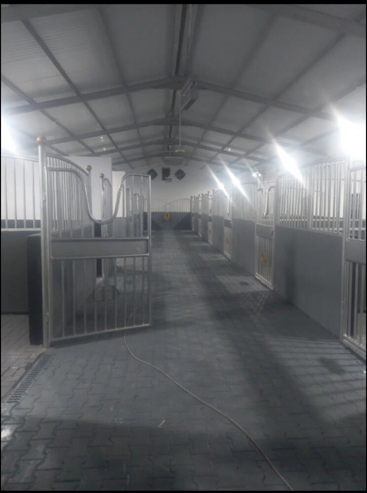 Steel & Pergola Works | Modern d* - 14