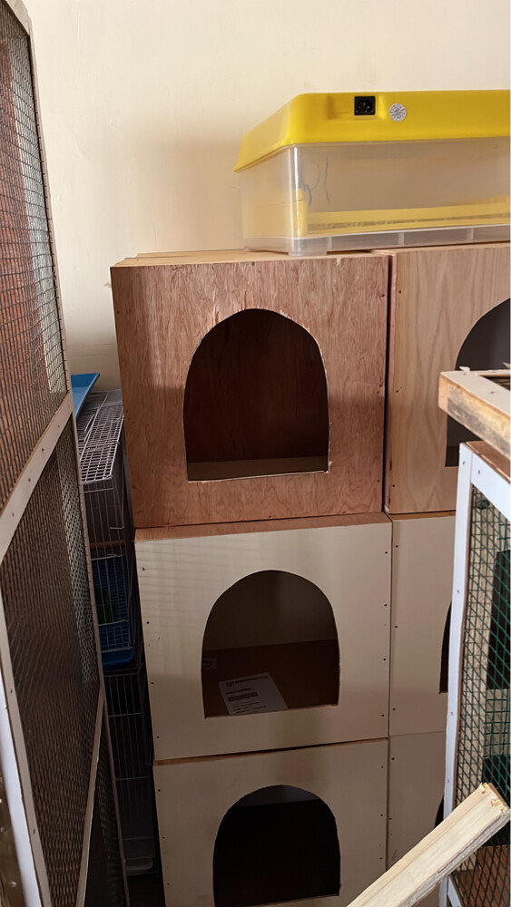 New model hen House For Sale - 13