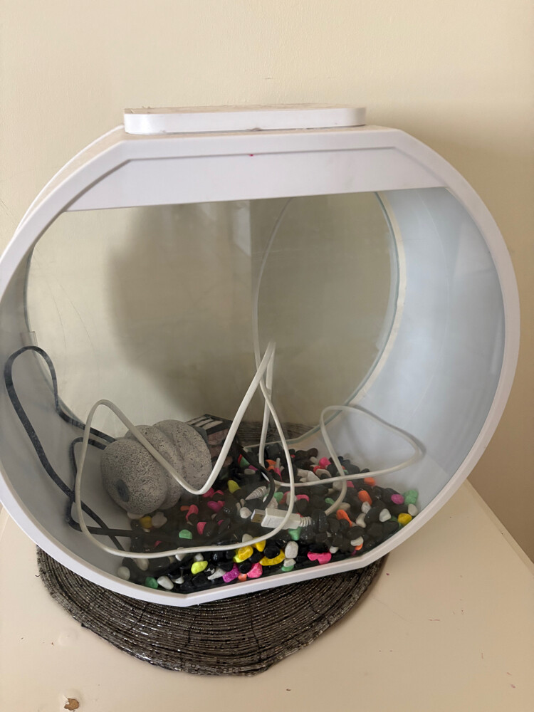 Aquarium - 3