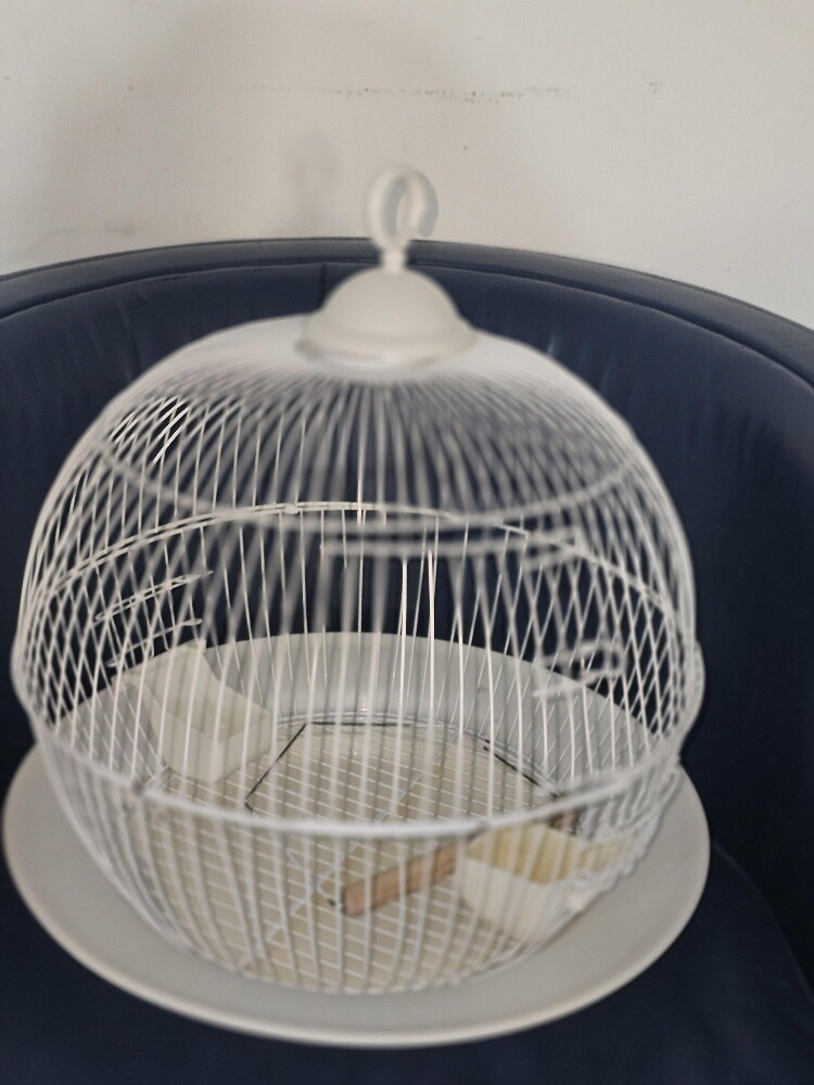 Love birds cage for sale - 1