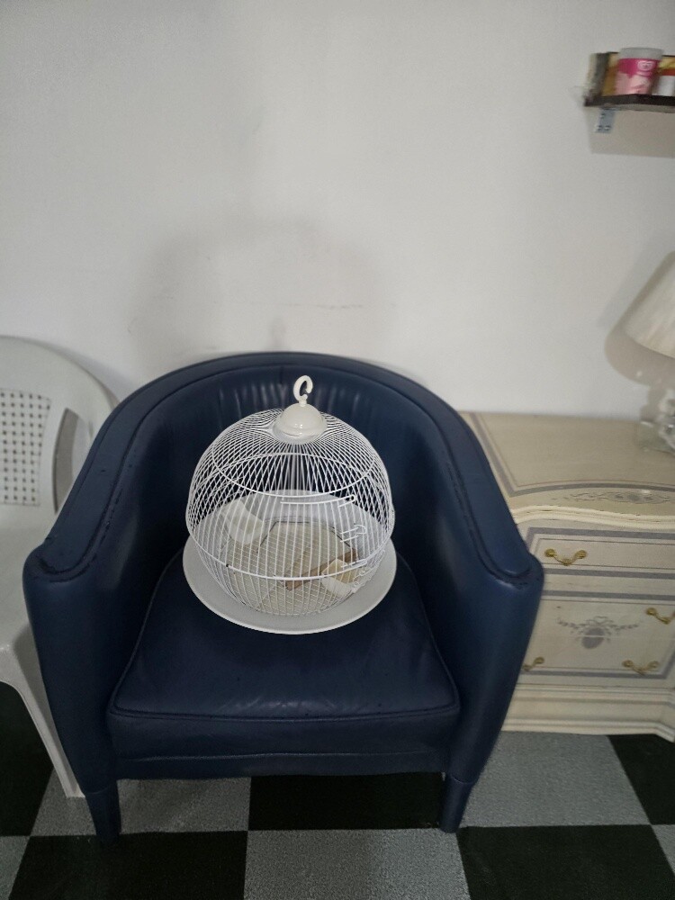 Love birds cage for sale - 5