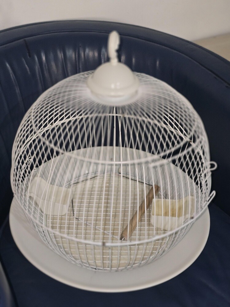 Love birds cage for sale - 3