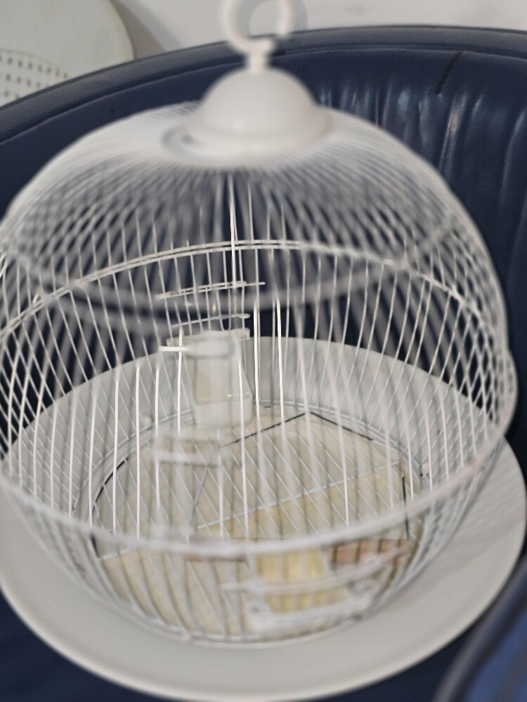 Love birds cage for sale - 4