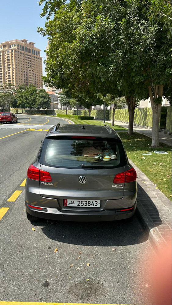 Tiguan - 2