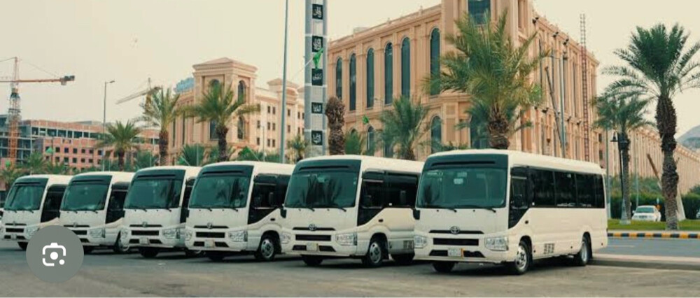 buses for rent 66 seat and 30 seat - 1