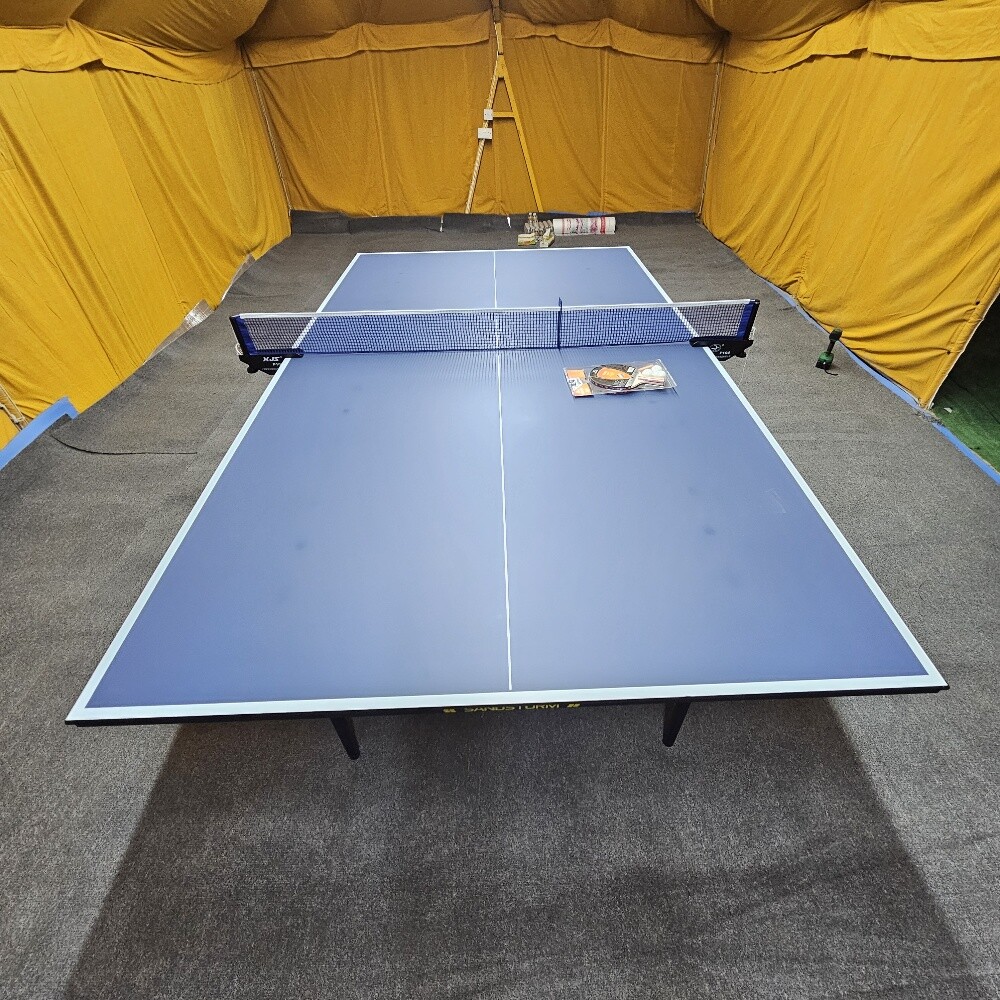 tennis table with racket and ball - 7