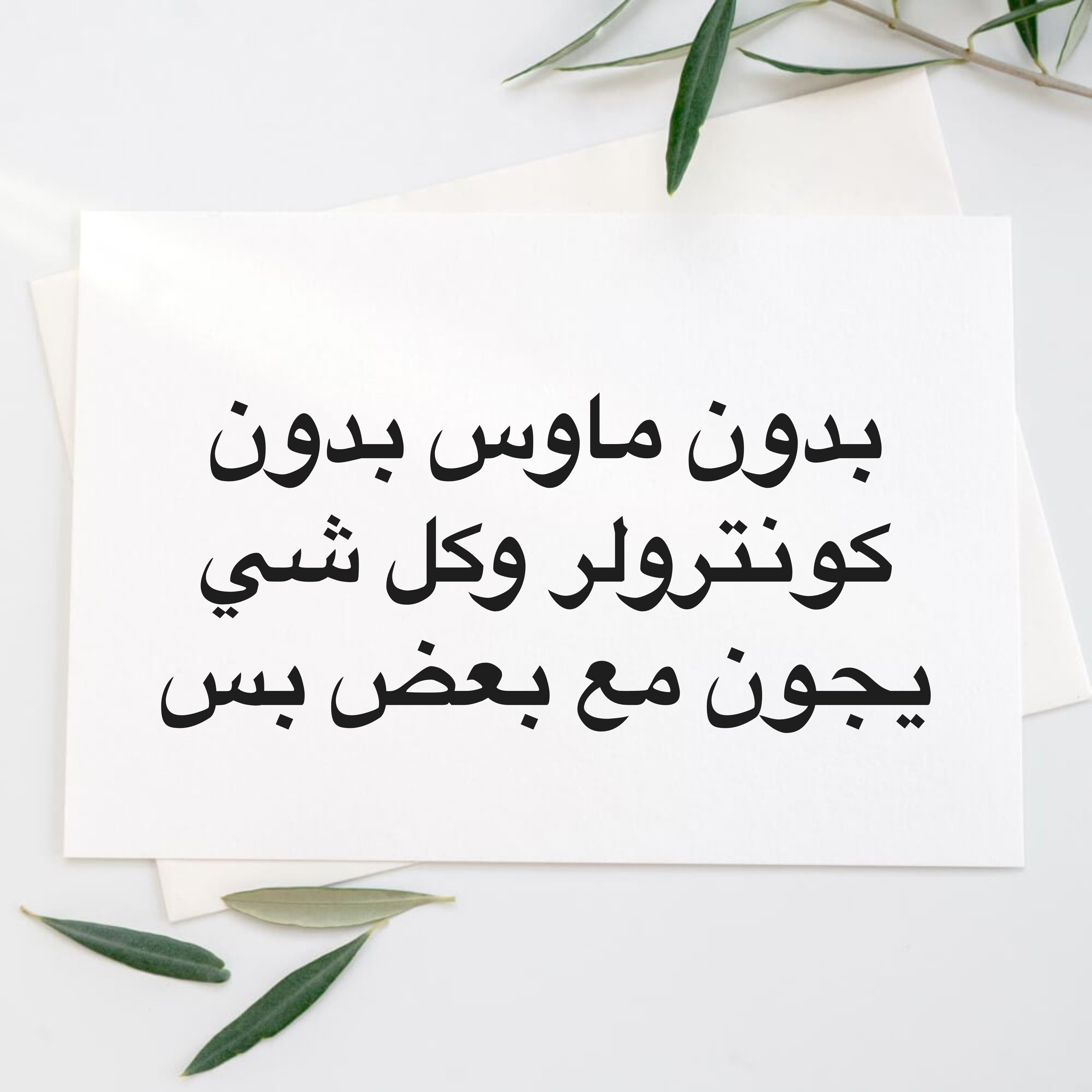 اغراض سيتب حق السوني و البيسي - 2