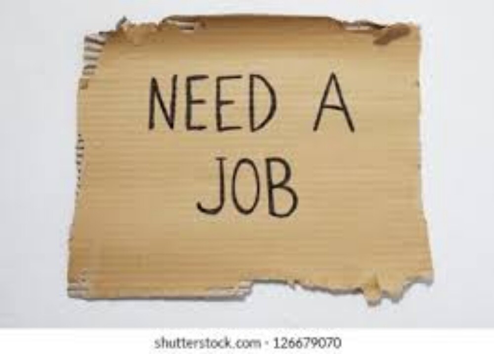 Lady needs job - 1