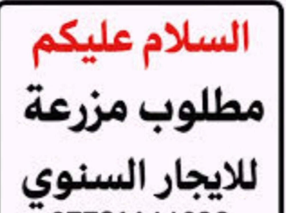 مطلوب مزرعه للإيجار بسعر طيب - 1