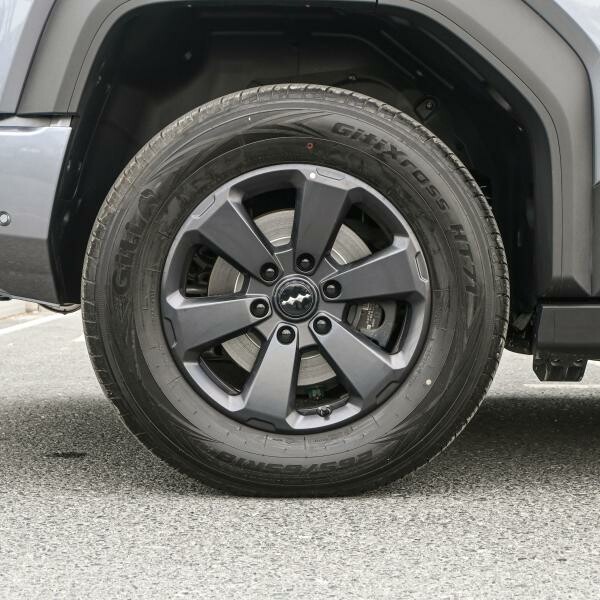 BYD Leopard 5 Long Range 2025 - 3