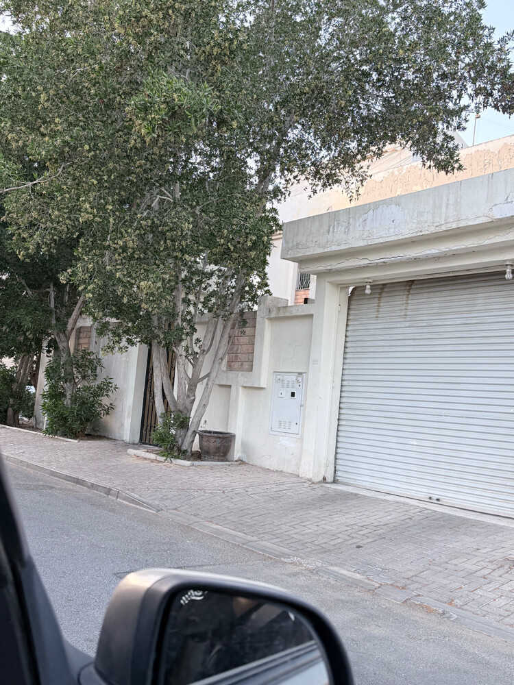 للبيع فيلا بالمطار شارعين زاويه - 4