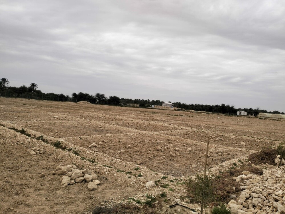 مزرعه للايجار - 2