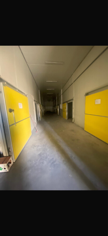 for rent fridge food store - 2