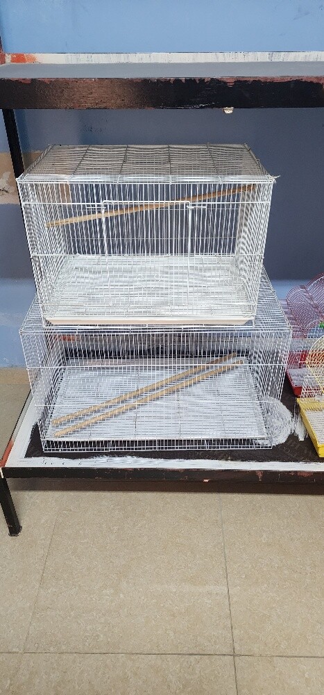 bird's cages - 3