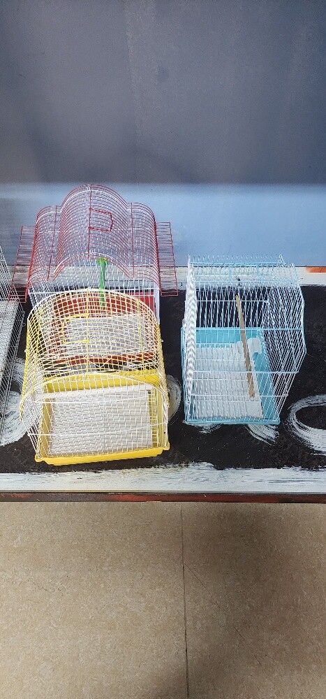 bird's cages - 2