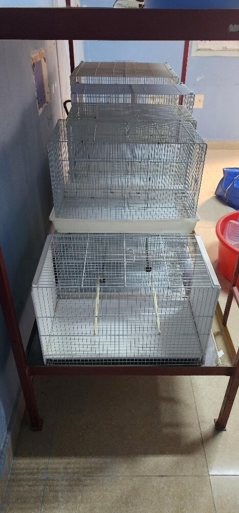 bird's cages - 6