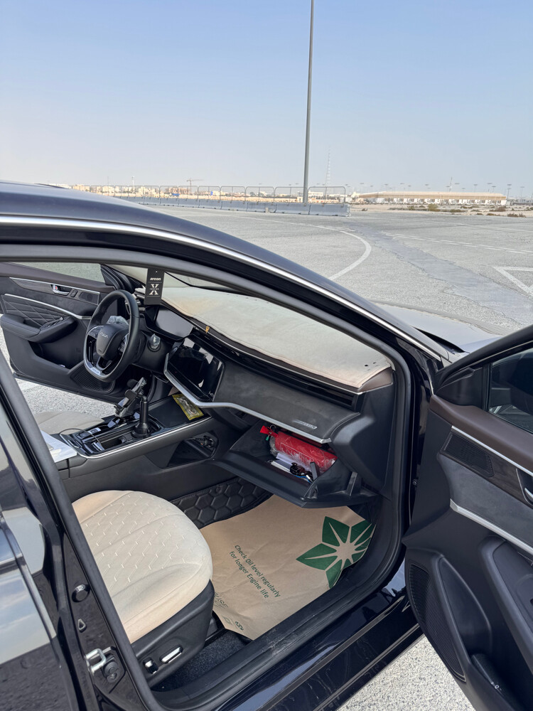 دونج فينج 60 ماكس  - 3