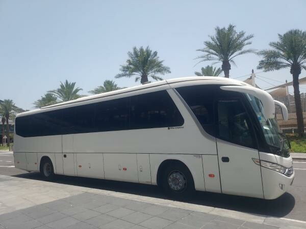 MARCOPOLO VOLVO VIP BUS - 8