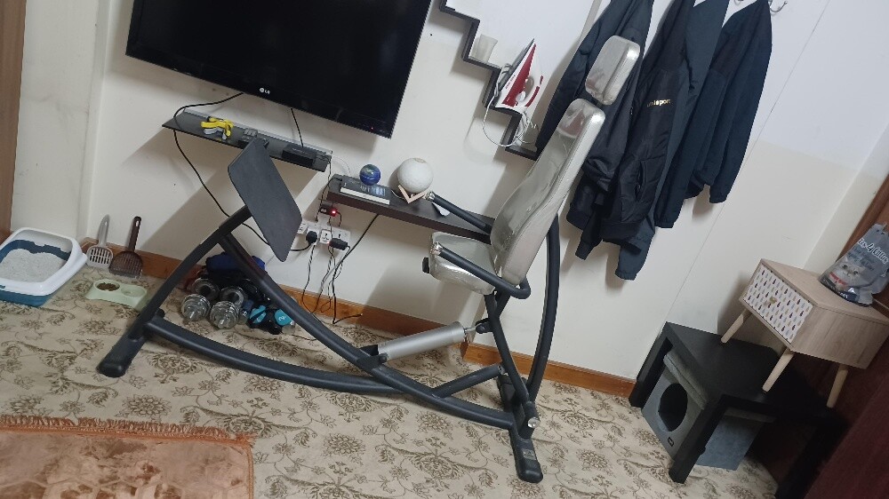 Back and leg exercise machine - 1