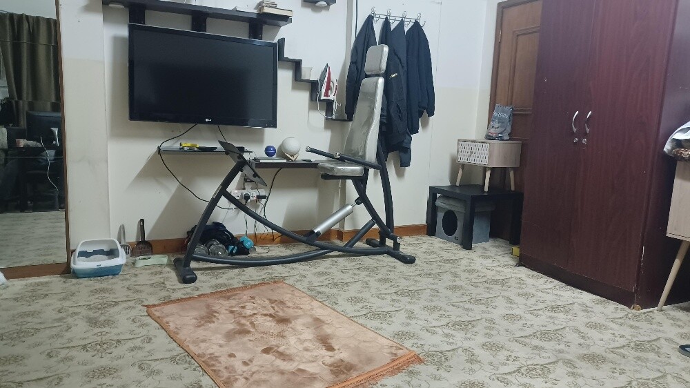 Back and leg exercise machine - 3