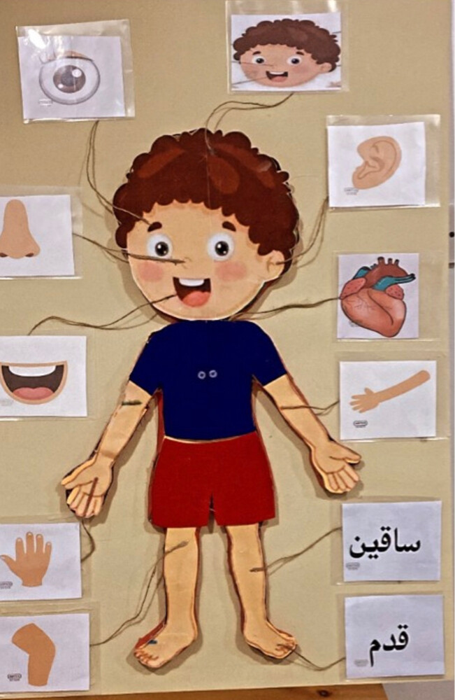 Selling figures and teaching aids - 4