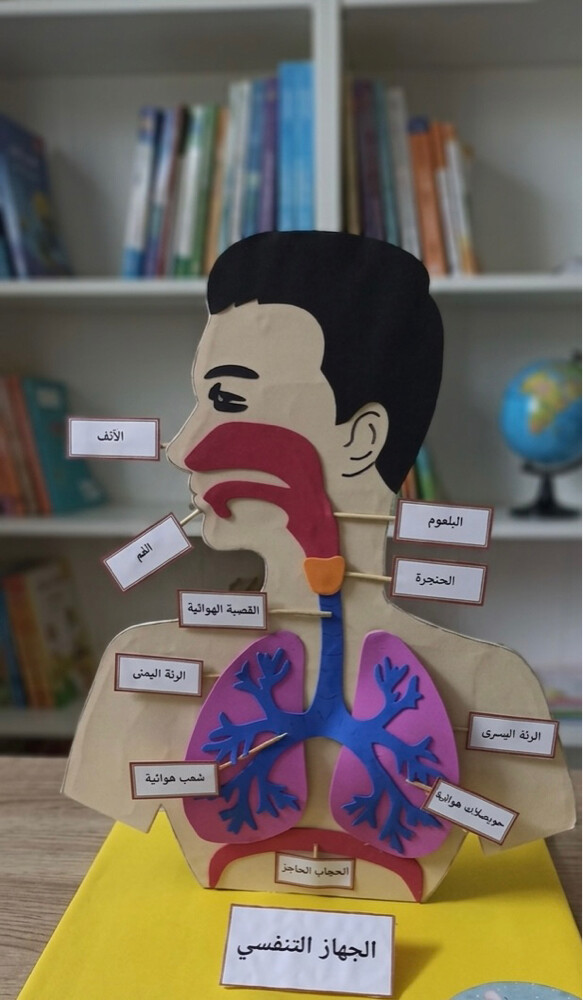 Selling figures and teaching aids - 1