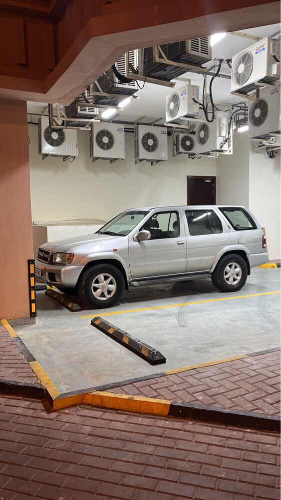 باثفاندر - 2
