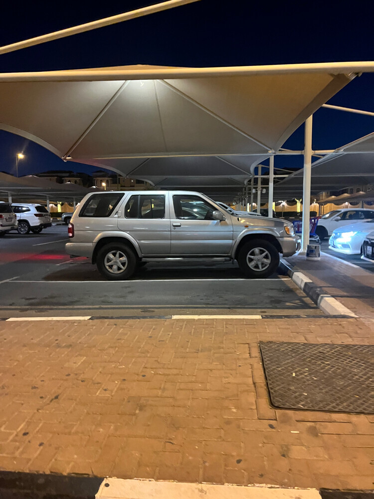 باثفاندر - 1