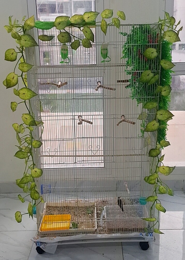 Huge Size Cage - 1