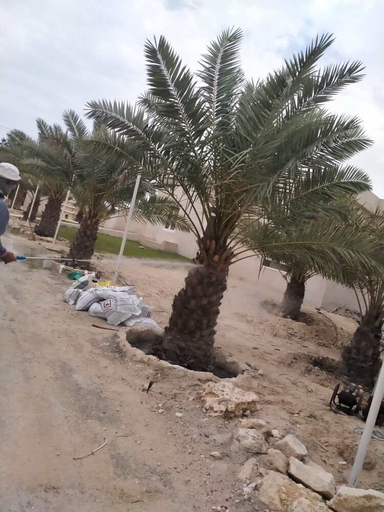 تقوم بعمل رش الحدائق - 1