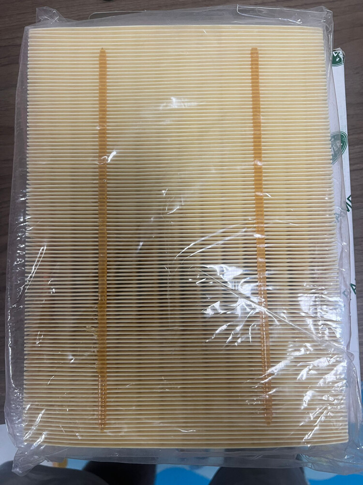 Air filter for Range Rover2005-2009 - 4