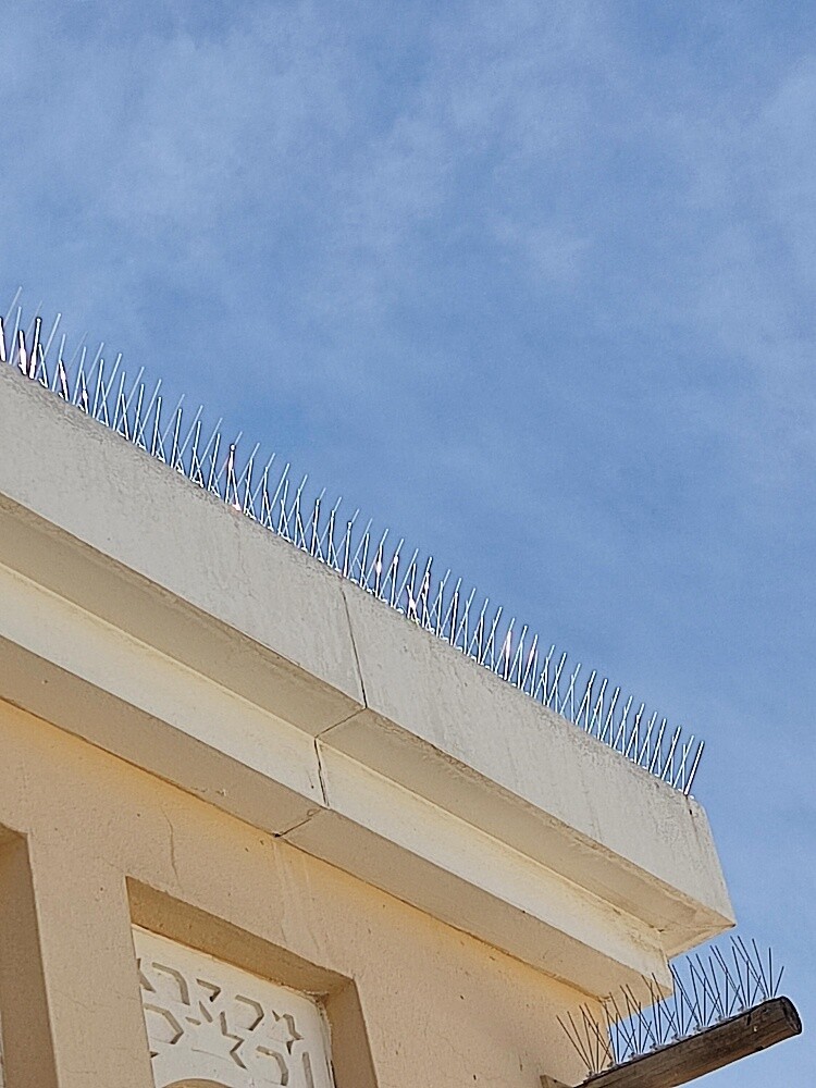 طاردالطيور 70277021 - 5