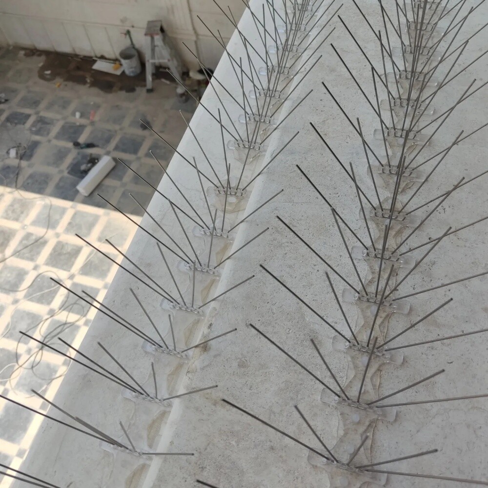 طاردالطيور 70277021 - 9