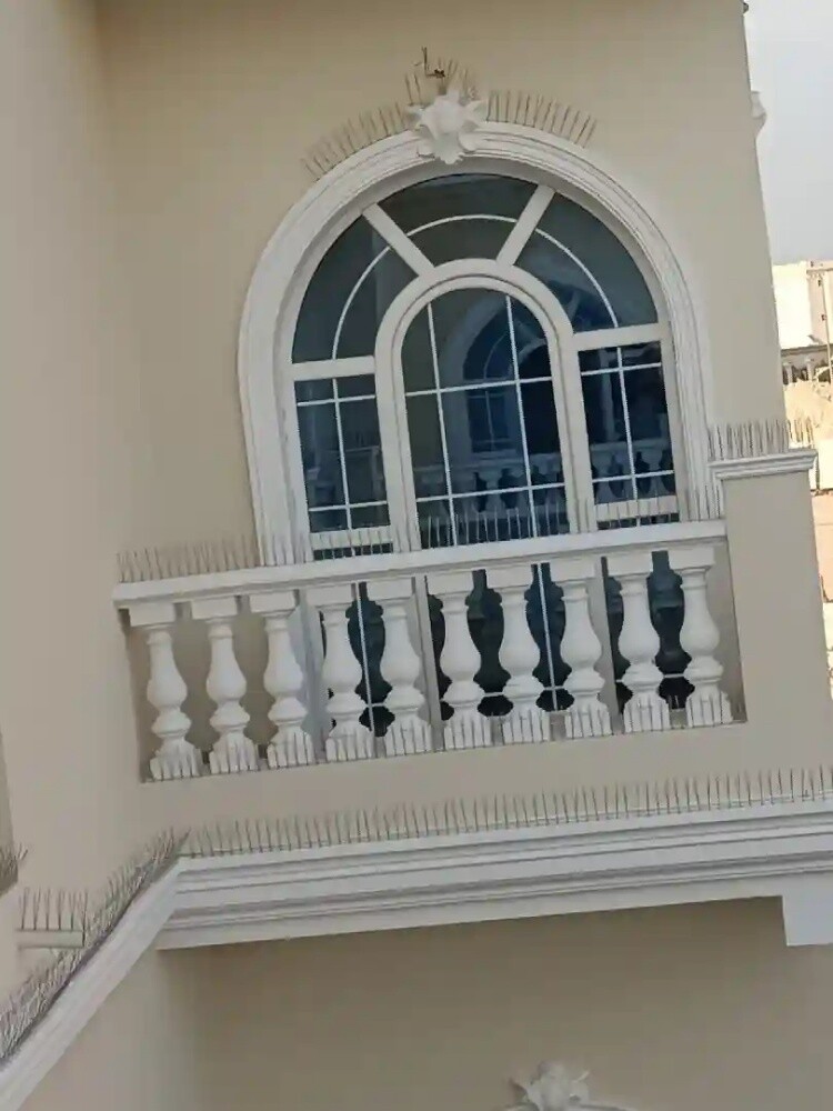طاردالطيور 70277021 - 2