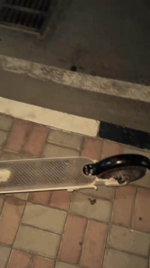 اسكوتر كهربائي - 1