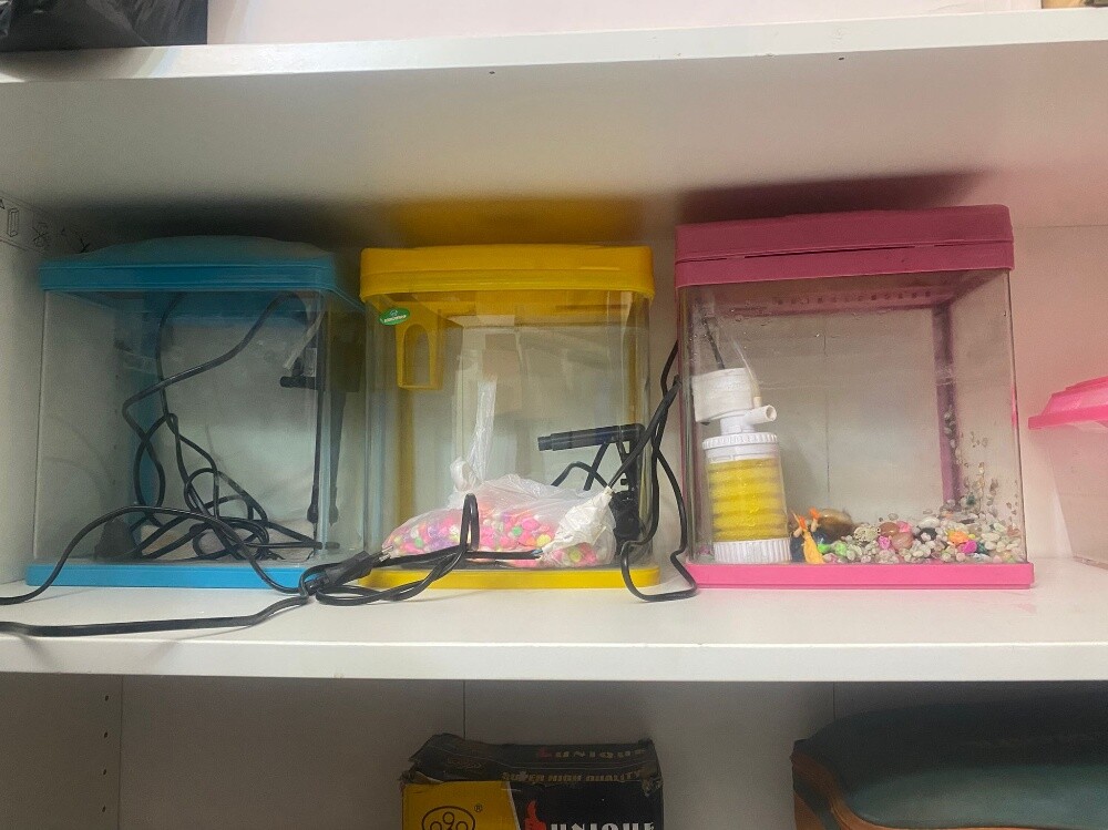 حوض أسماك - 3