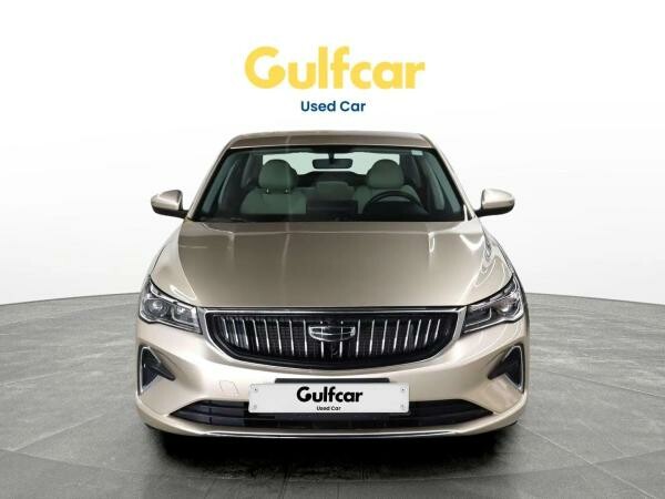 Geely Emgrand Comfort 2024 - 11