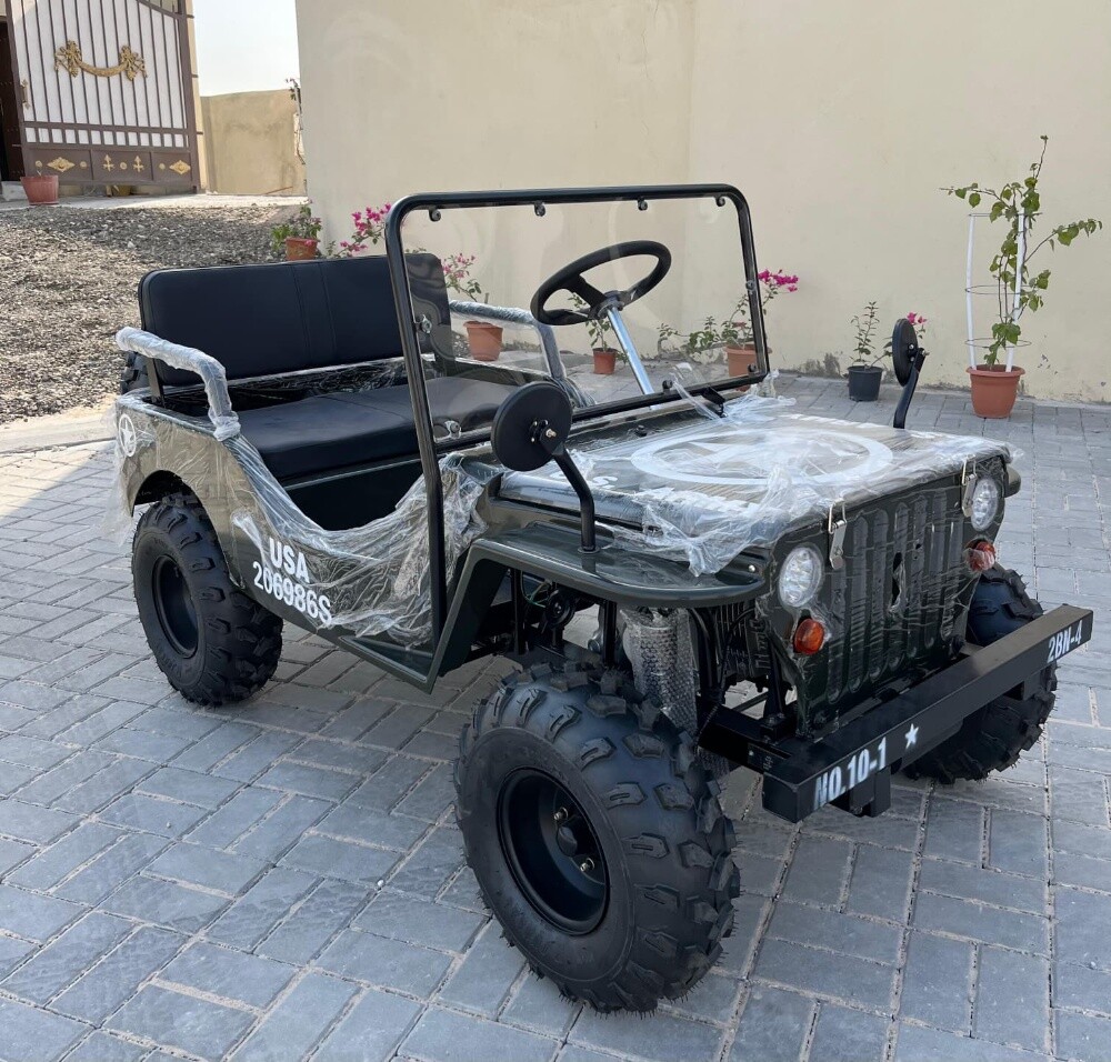 mini Jeep - 5